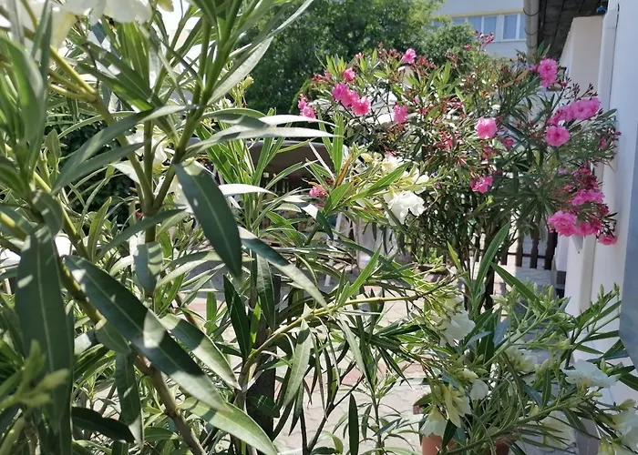 Kertesz Vendeghaz בית הארחה *