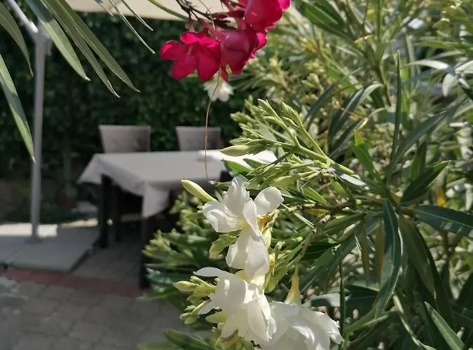 Kertesz Vendeghaz בית הארחה אגר