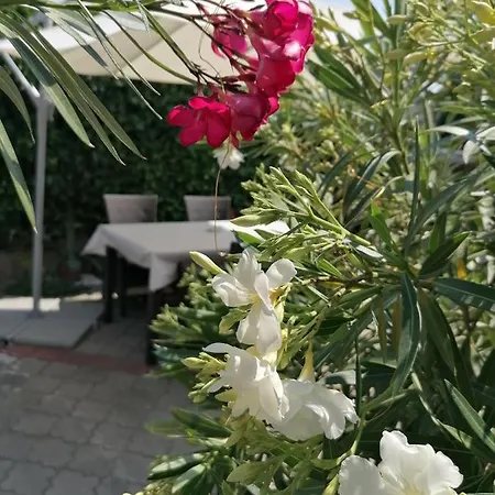 Kertesz Vendeghaz Konukevi Eğri
